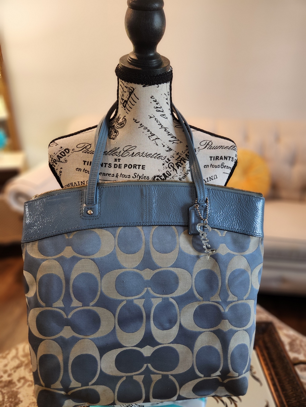 Coach Blue Signature Tote Bag
